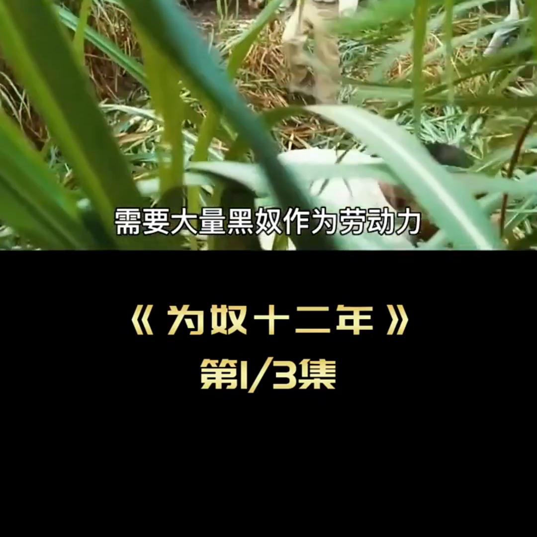 男人被朋友出卖，做了十二年奴隶。#高分电影