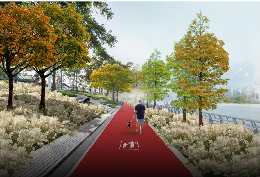 五龙汇生态改造工程项目,五龙汇片区最新消息