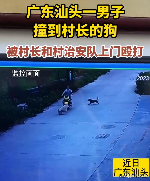 曝男子撞村长的狗被殴打后续,男子撞倒村长的狗遭殴打