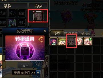 dnf装扮邮递装置可以跨界宠物吗,dnf稀有装扮跨界装置