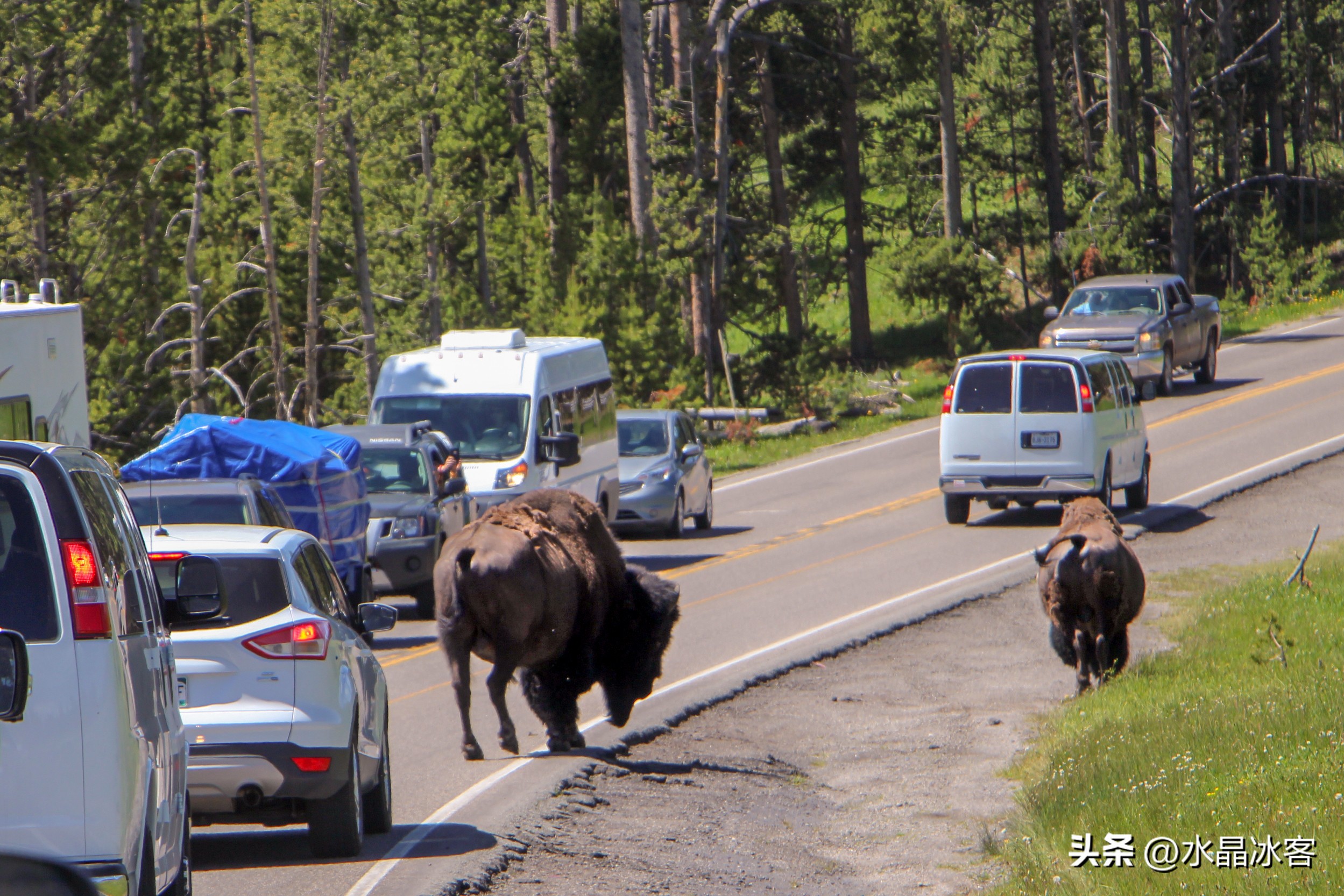 美国西部四日游最佳路线,黄石国家公园拉斯维加斯