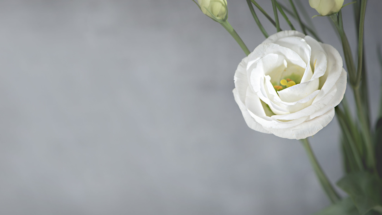 如何接受一个人独自生活的孤独,一个人生活怎么抗拒孤独