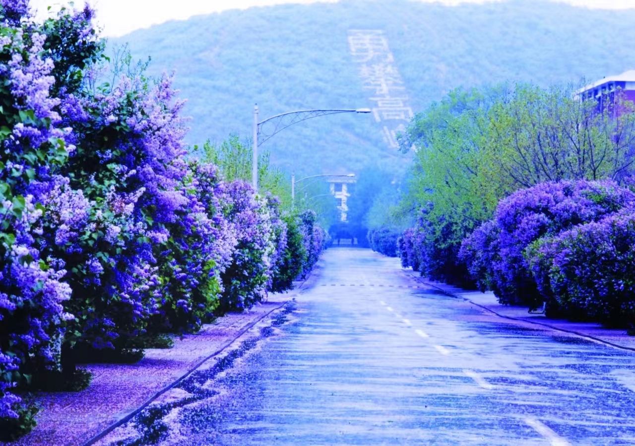 每一次蜕变，都是刻骨铭心：军校的苦，究竟该怎么吃？