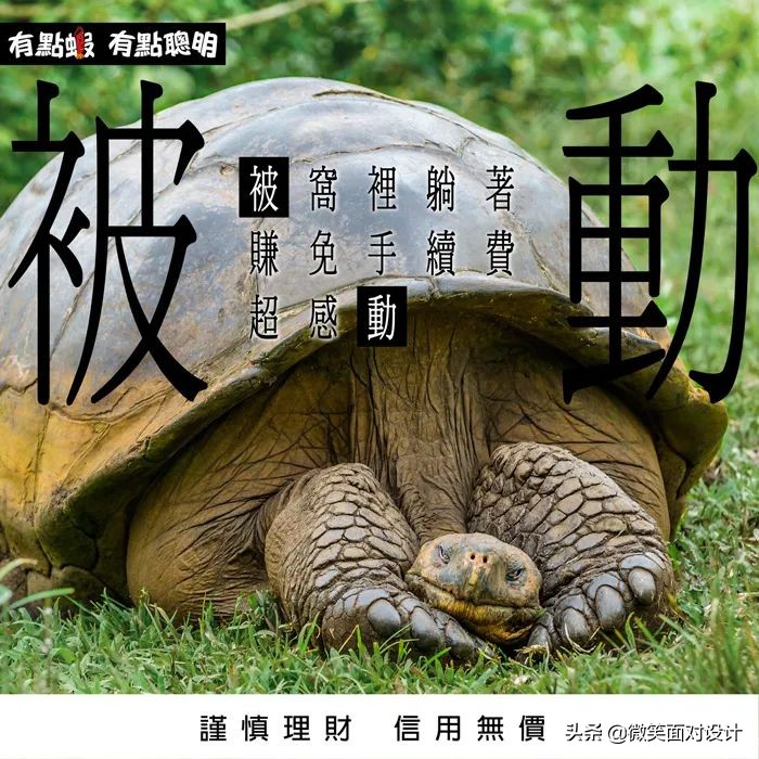 脑洞清奇!台湾电商海报文案,比杜蕾斯还野野野野