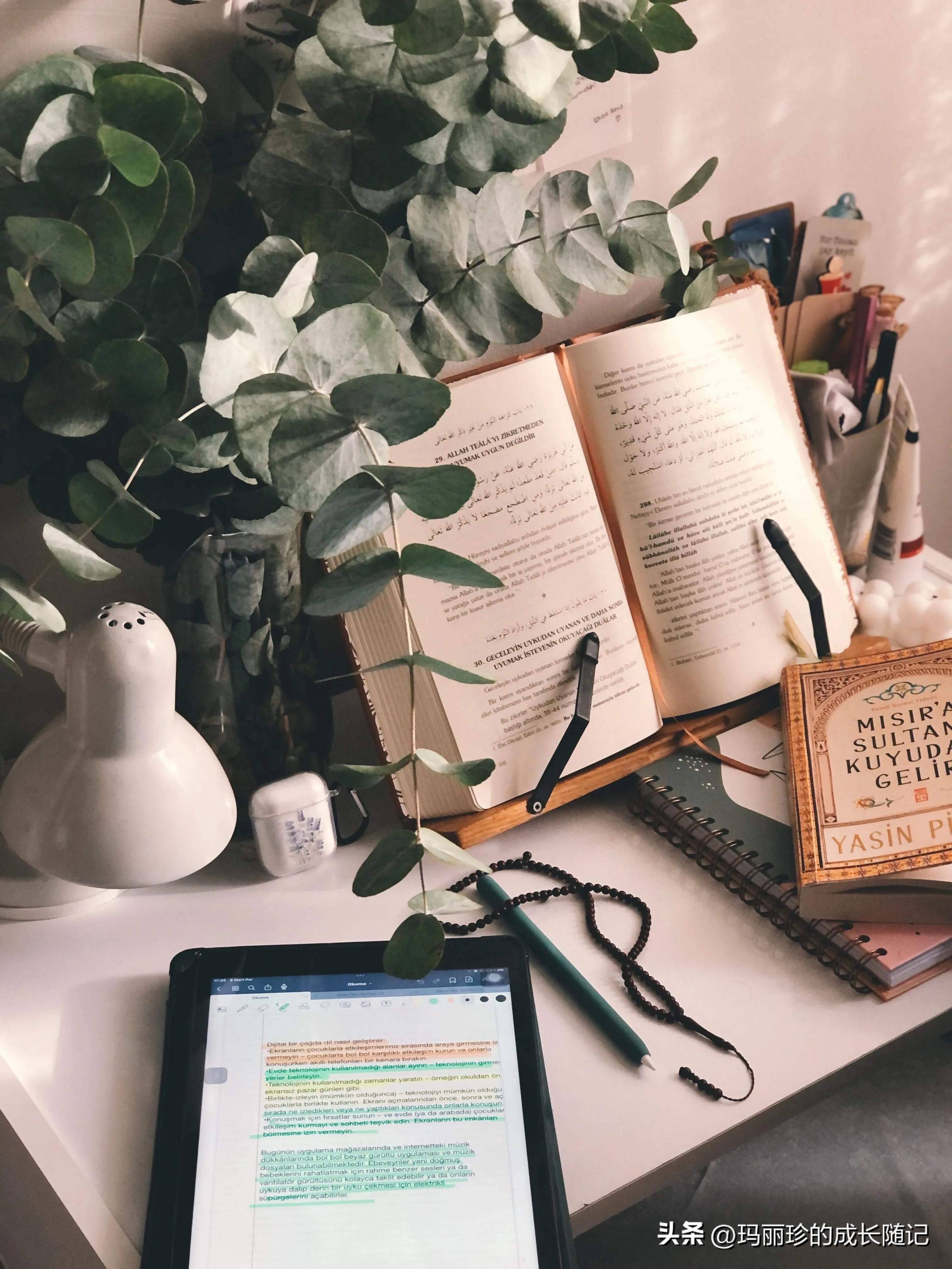 学习英语的好处英语版,小学生学习英语的好处