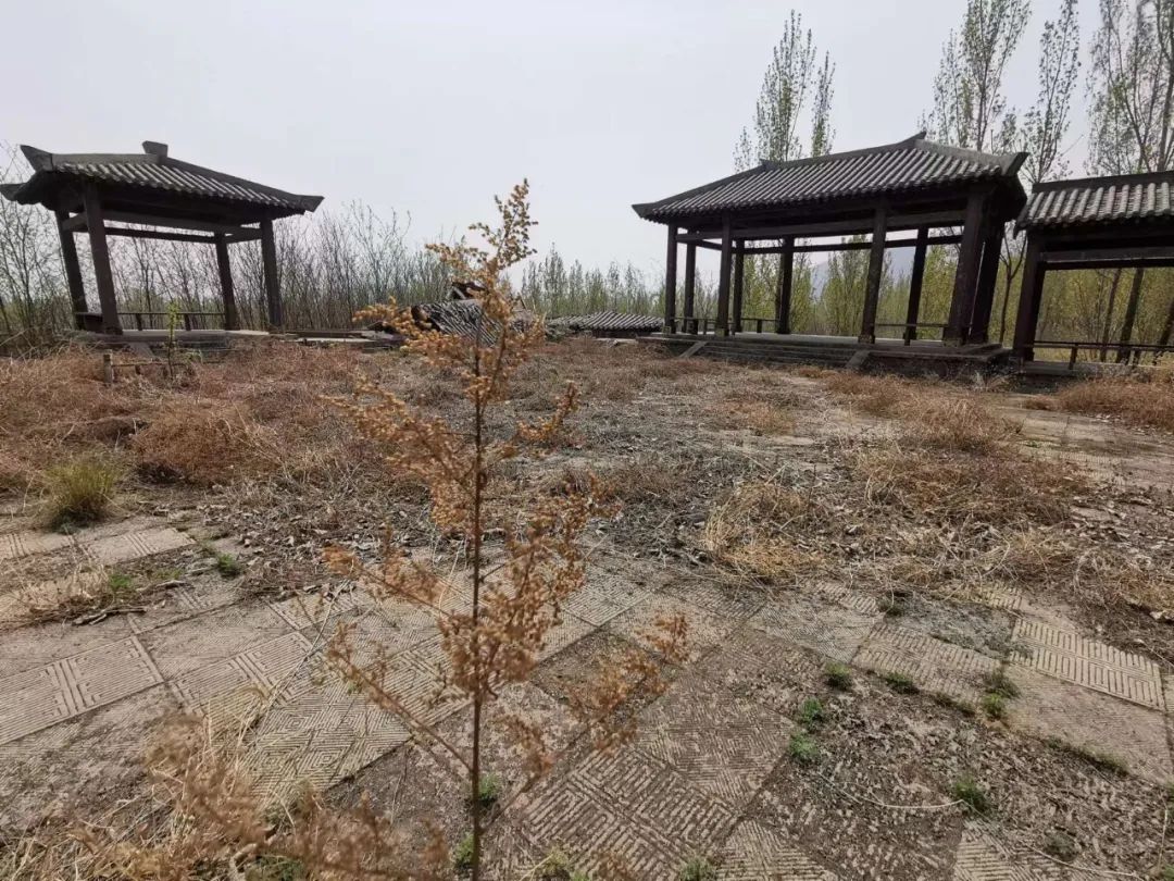 石家庄最好玩的山林,石家庄原始森林旅游景区