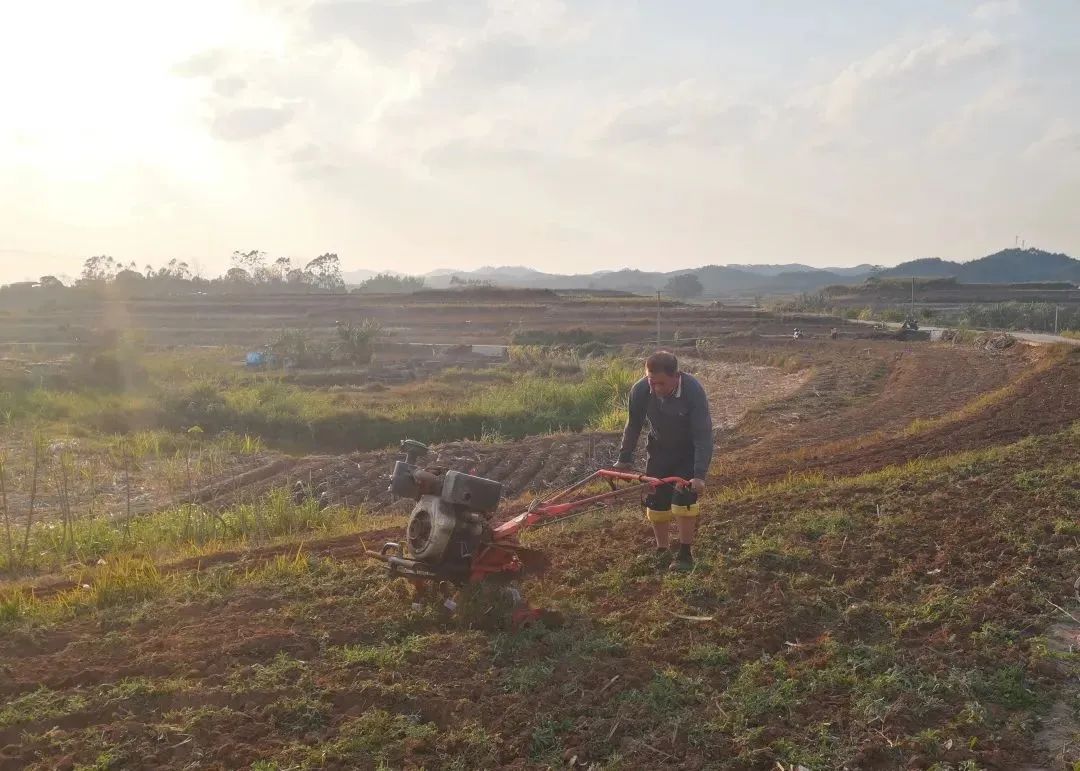 基层农业春耕备耕新闻,各地抢抓农时全力做好春耕备耕