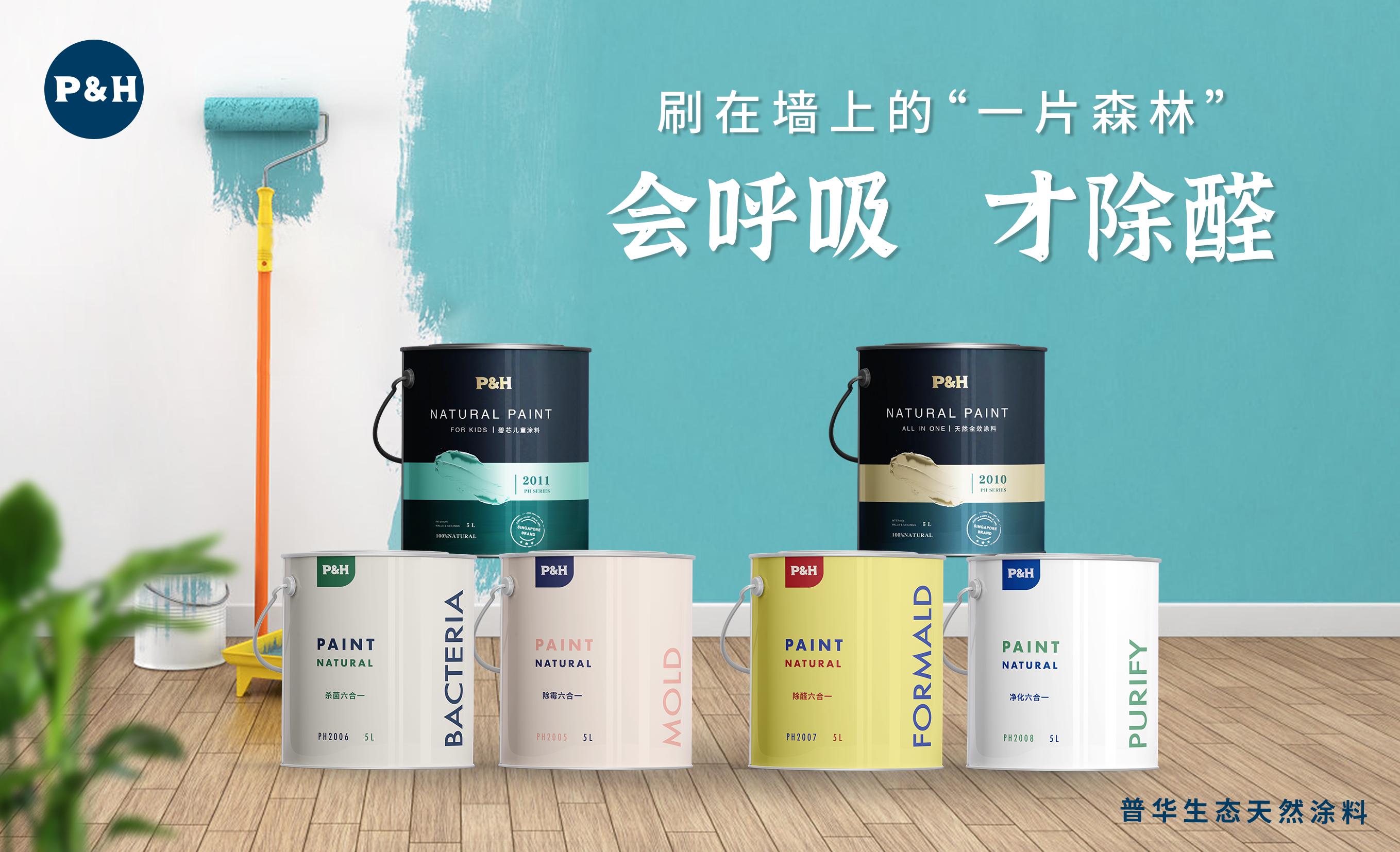 新房子装修墙面知识点,新房墙体装修工艺流程步骤