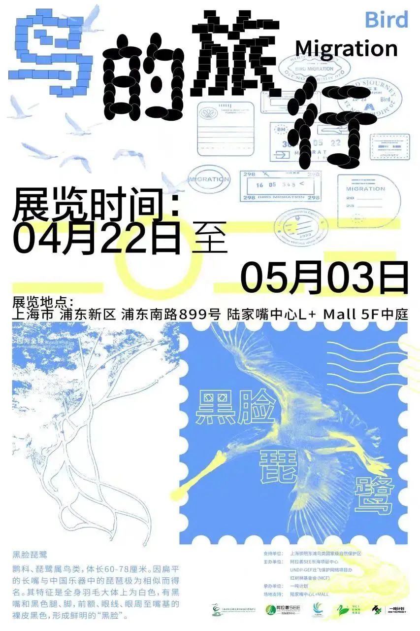 上海购物节必买攻略,五五购物节上海徐汇