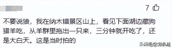 情侣野外发现尸体,情侣拜天地