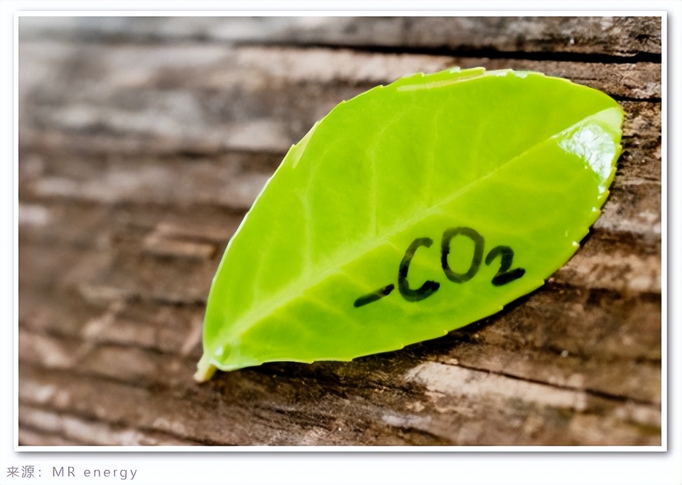 碳资产管理哪个公司的好,全国排名前十的碳资产管理公司