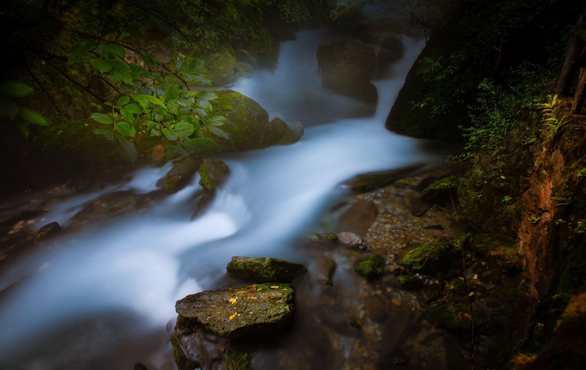 ps2024神经滤镜有什么功能,ps2024神经滤镜都有什么功能