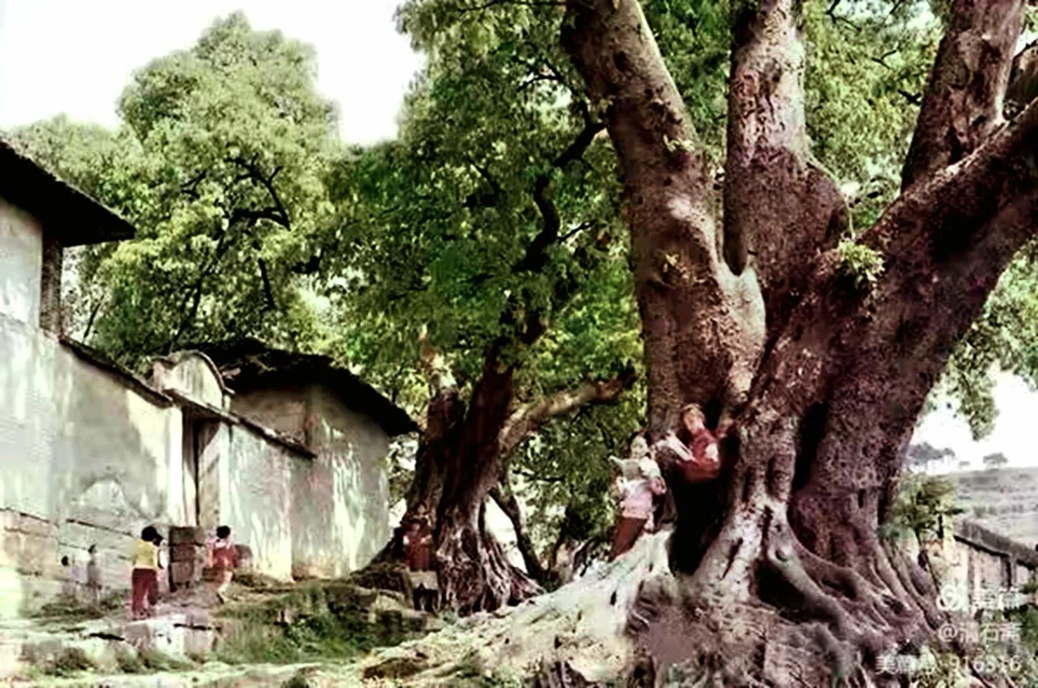 江津艾坪山公园,天河区爱情山