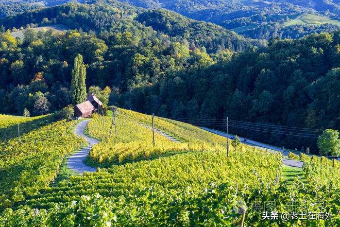 弹丸小国立陶宛现在状况,弹丸小国立陶宛蚍蜉撼树