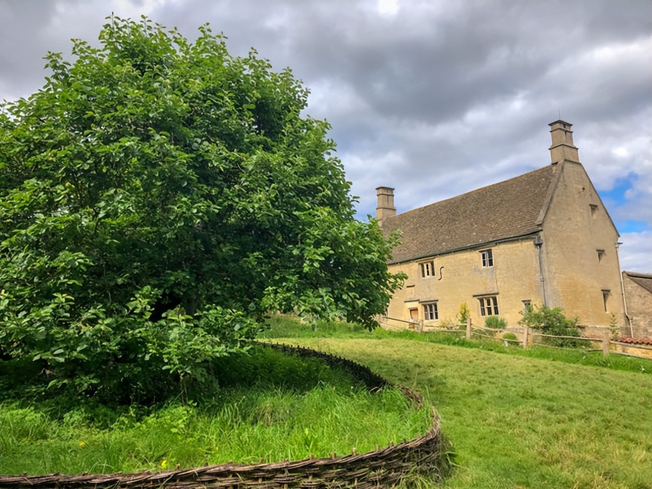 盘点被电鳗电死的人,鳄鱼咬住电鳗当场死亡