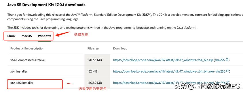 java入门jdk的下载与环境变量配置,javase安装教程win10