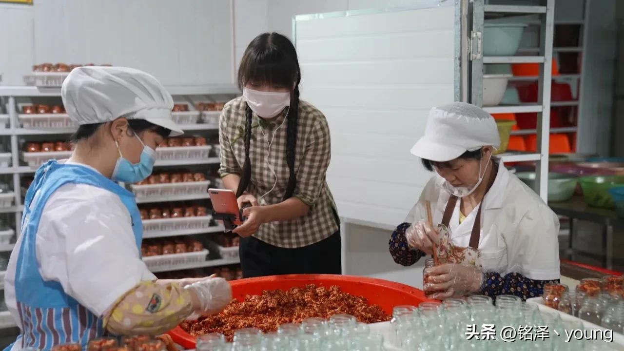 做自媒体的创业思路,乡村自媒体如何创业成功