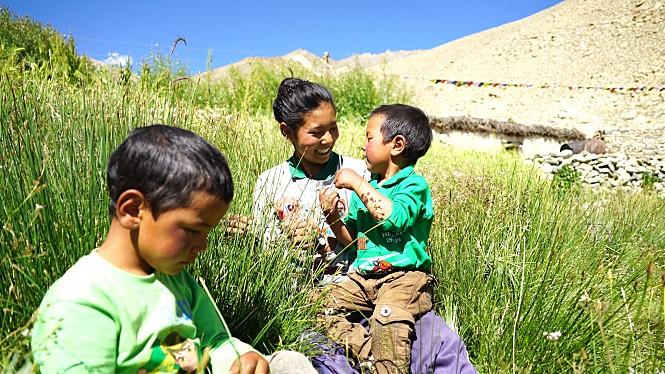 尼姑苦行僧徒步行走,一个小尼姑的艰辛出家路
