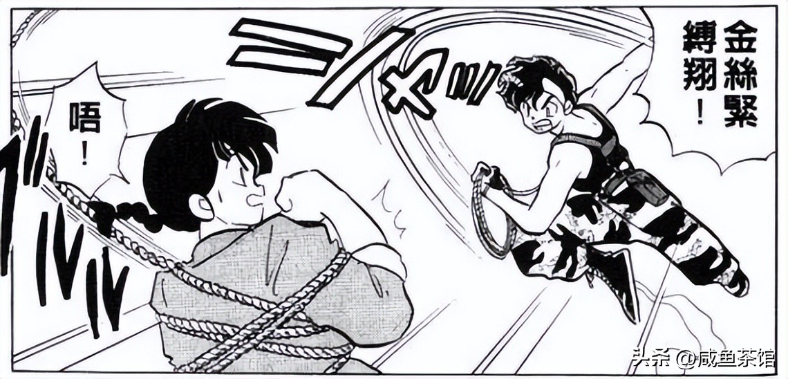 乱马12部分详解,乱马的招式