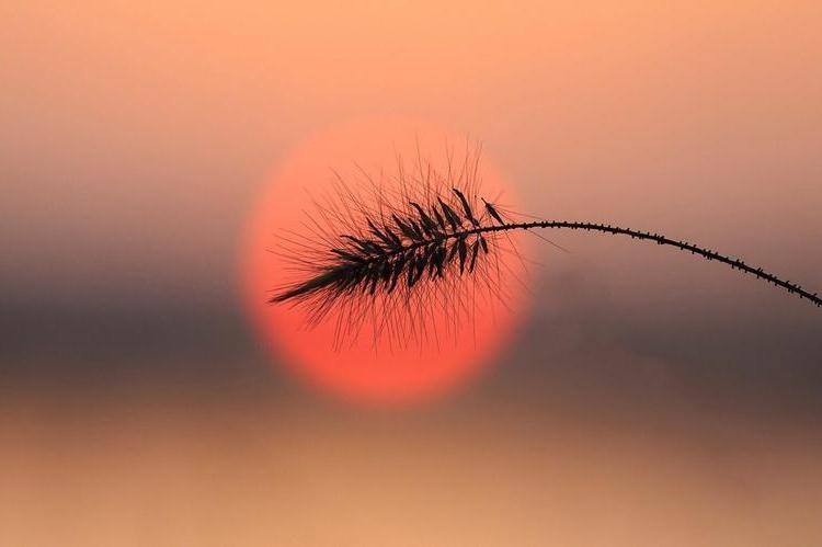 男人眼中，不在这两件事上低头的女人，很高贵