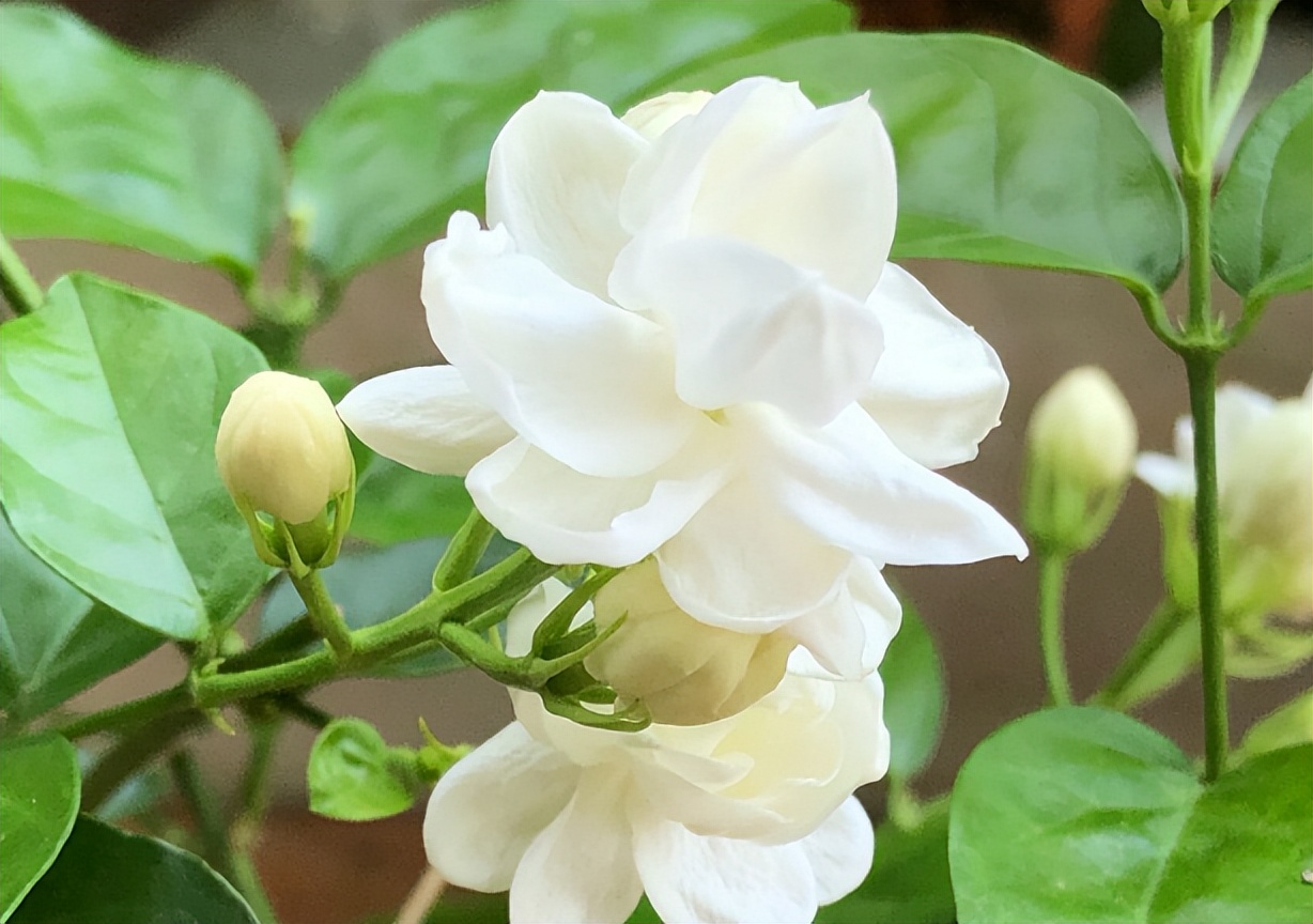 一个女人“借”了这些东西,彼此“缘分”也就尽了,早就实锤了