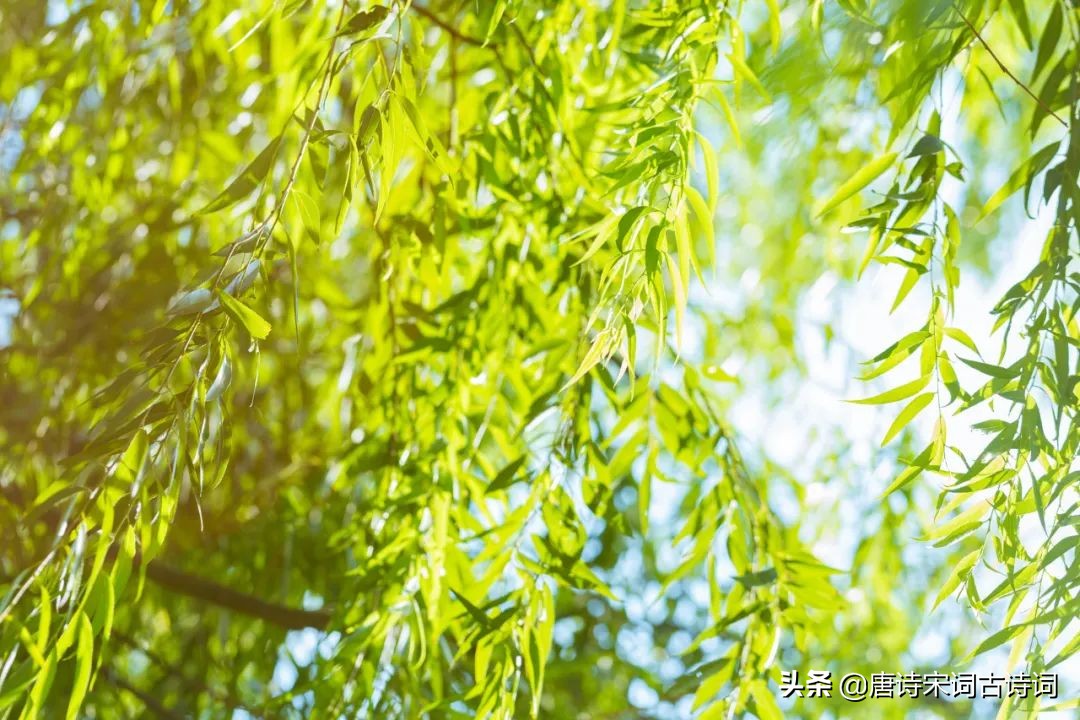 陌上有风景也有你,我的眼里有风景也有你