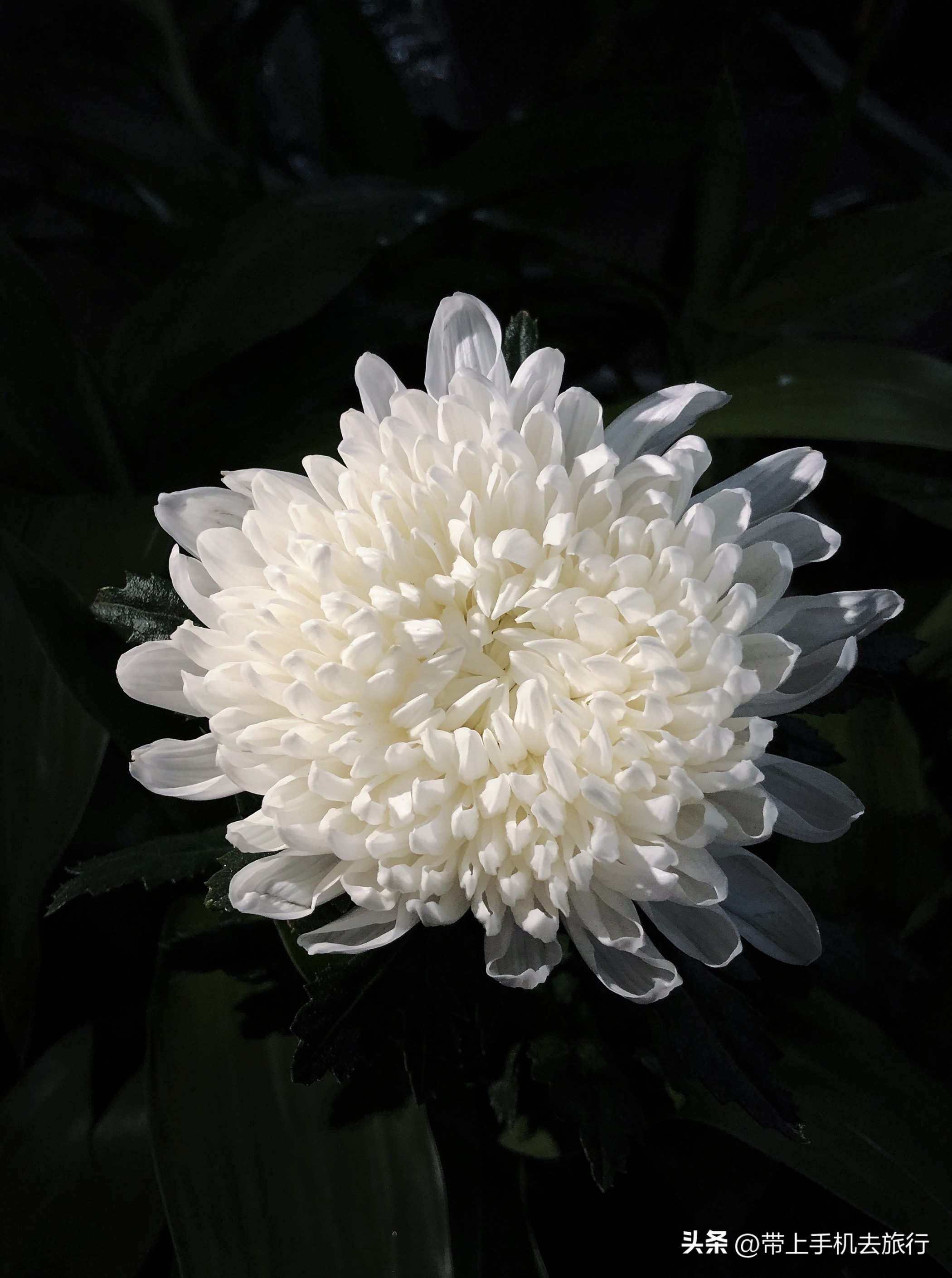 10分钟实用手机摄影知识,10分钟左右的手机摄影干货