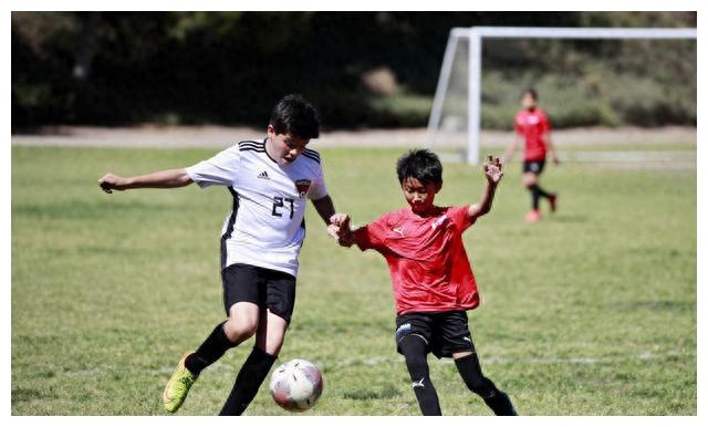 最坑人的培训班,目前培训学校哪些课程是坑人的