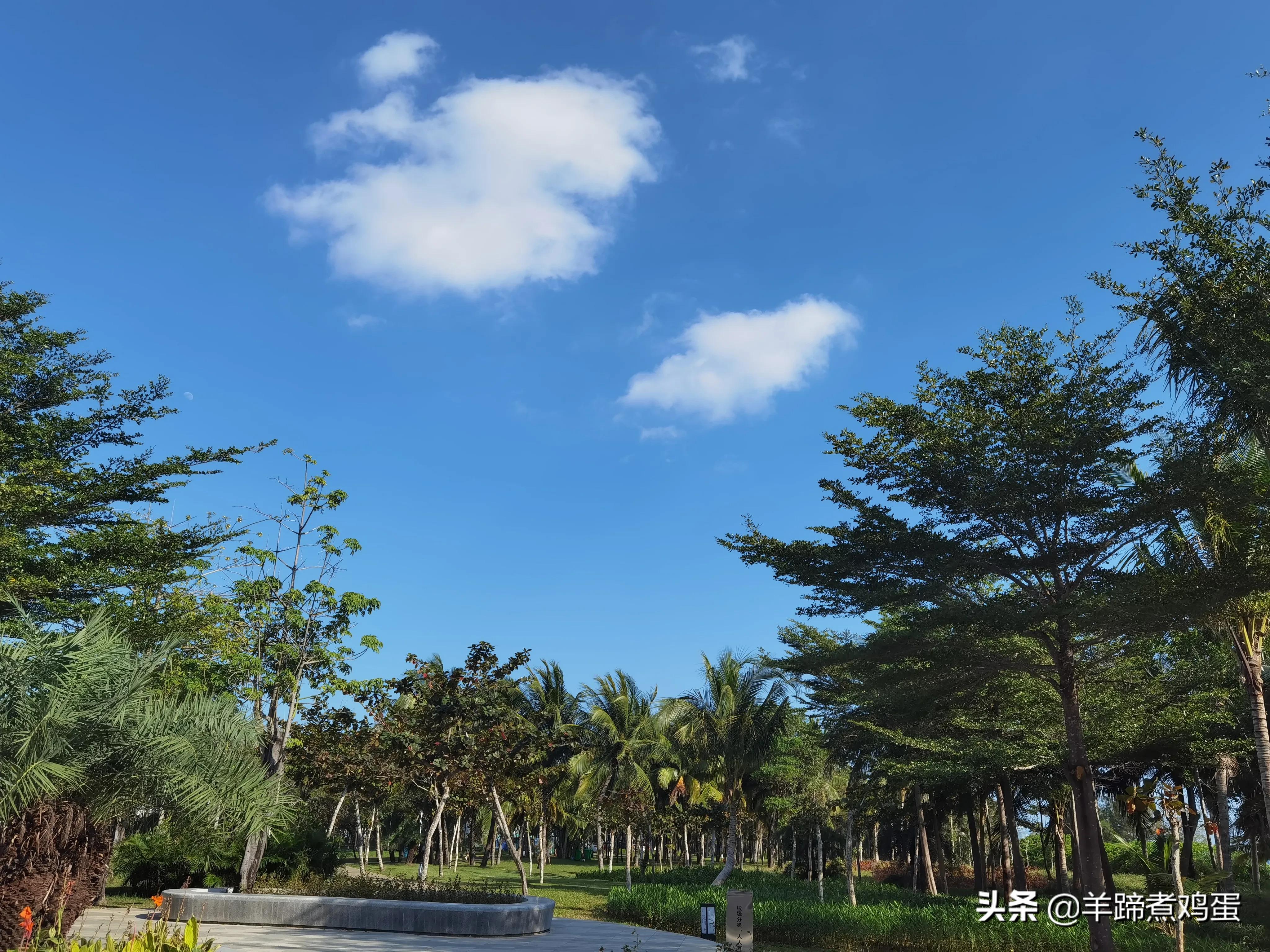 三亚椰梦长廊日落绝美,三亚湾椰梦长廊看夕阳最佳观赏点