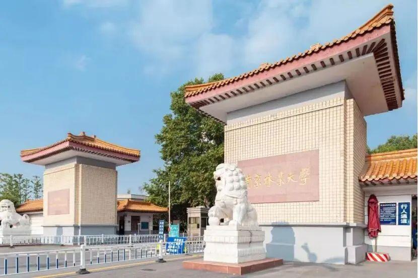 选择南京林业大学的十大理由！