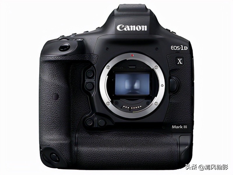 拍鸟买什么相机，不是广告是忠告（九）王者对决篇