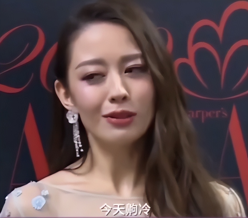 “只讲英文”李安琪：嫁*小鹏李**13年，从不说中文，哪来的优越感？