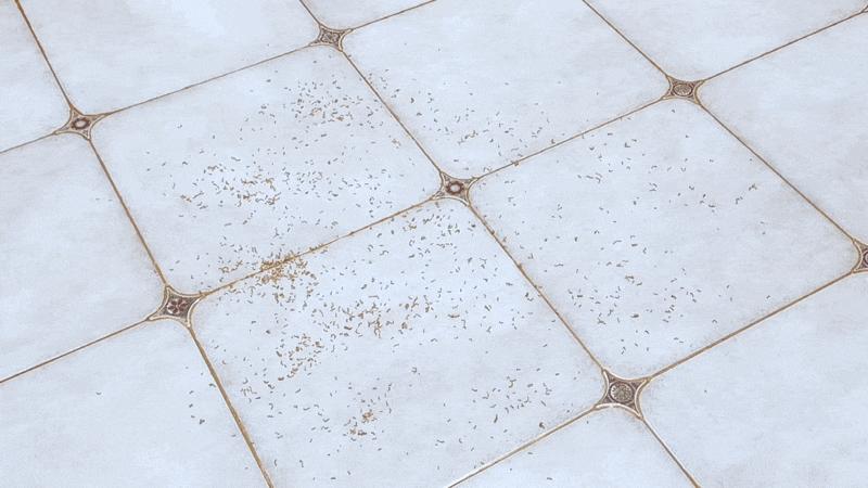 扫地机器人推荐云鲸j3,扫地机器人云鲸J3测评