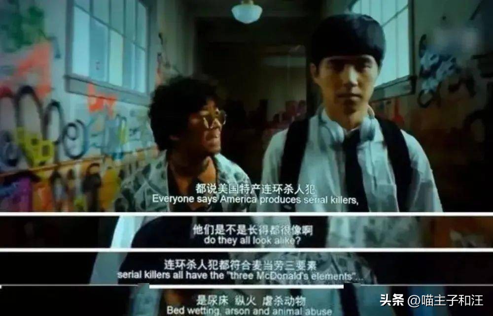 猫被打成脑震荡,猫咪被我打成应激脑震荡