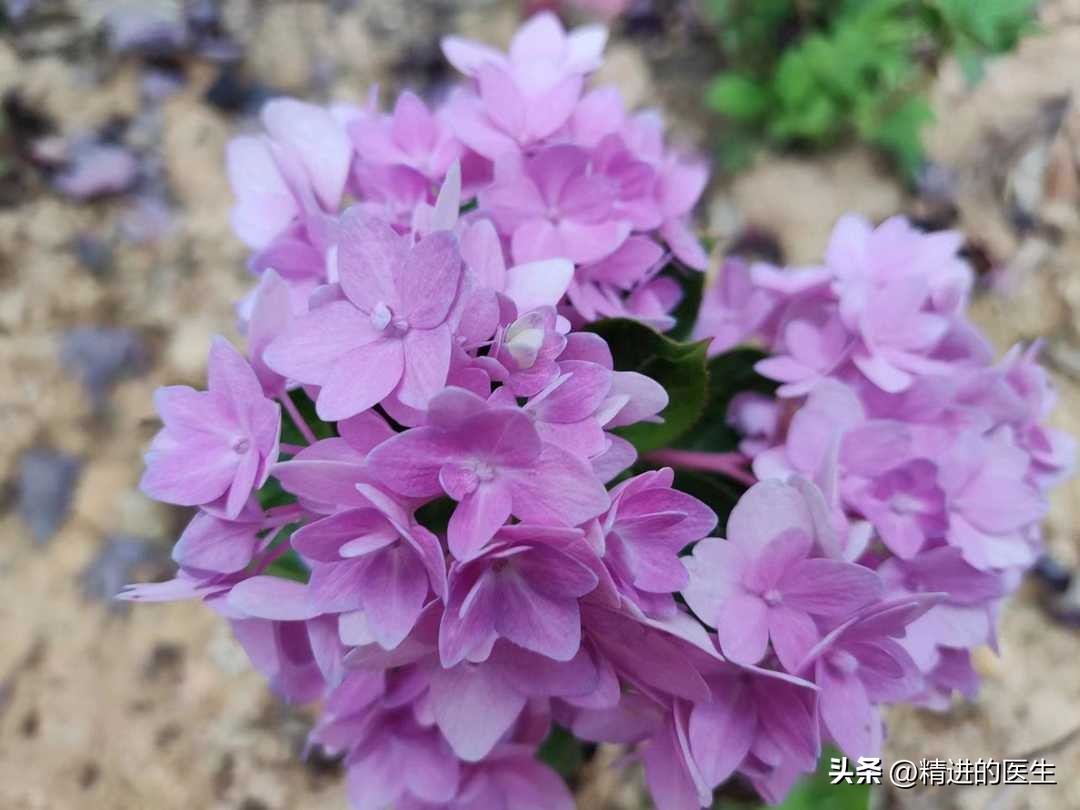 积极乐观延缓衰老,积极面对生活能延缓衰老