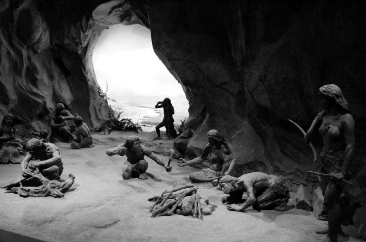 人类进化出野生四肢,人类在进化过程中逐渐退化的器官