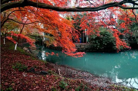 杭州好玩的地方和景点排行榜,杭州周边好玩的地方景点免费