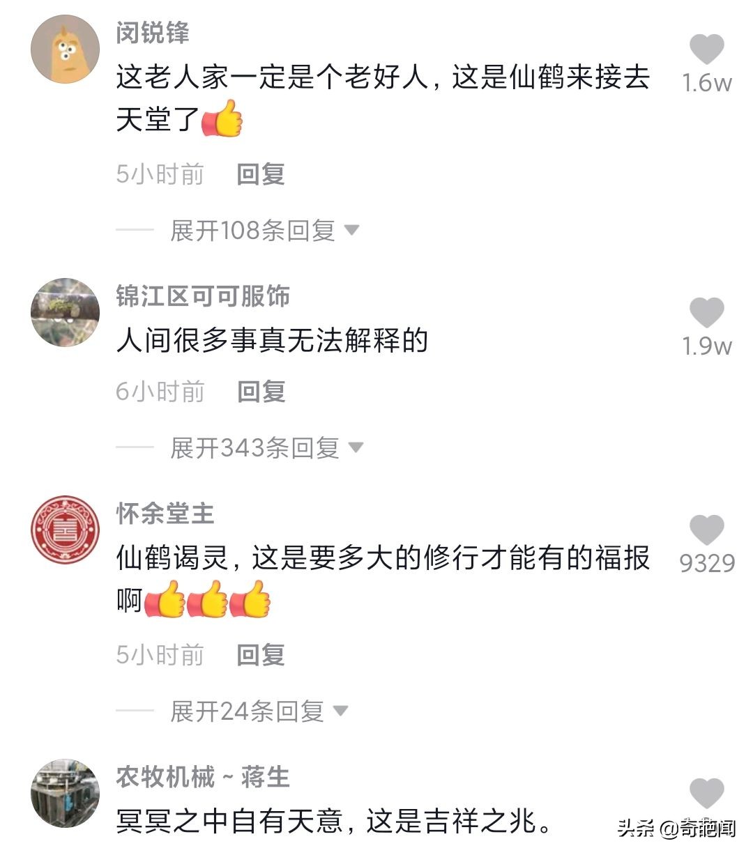 老人去世当天一只仙鹤前来道别,老人去世一只仙鹤走进灵堂