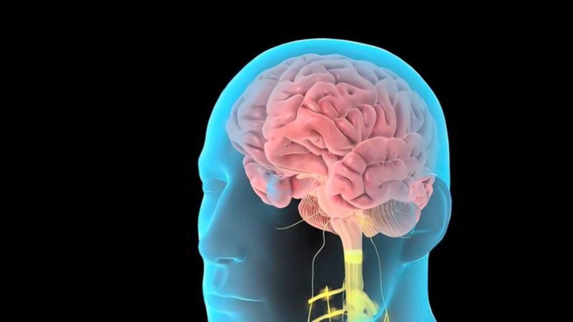 孩子的攀比心怎么克服,如何有效避免攀比之心