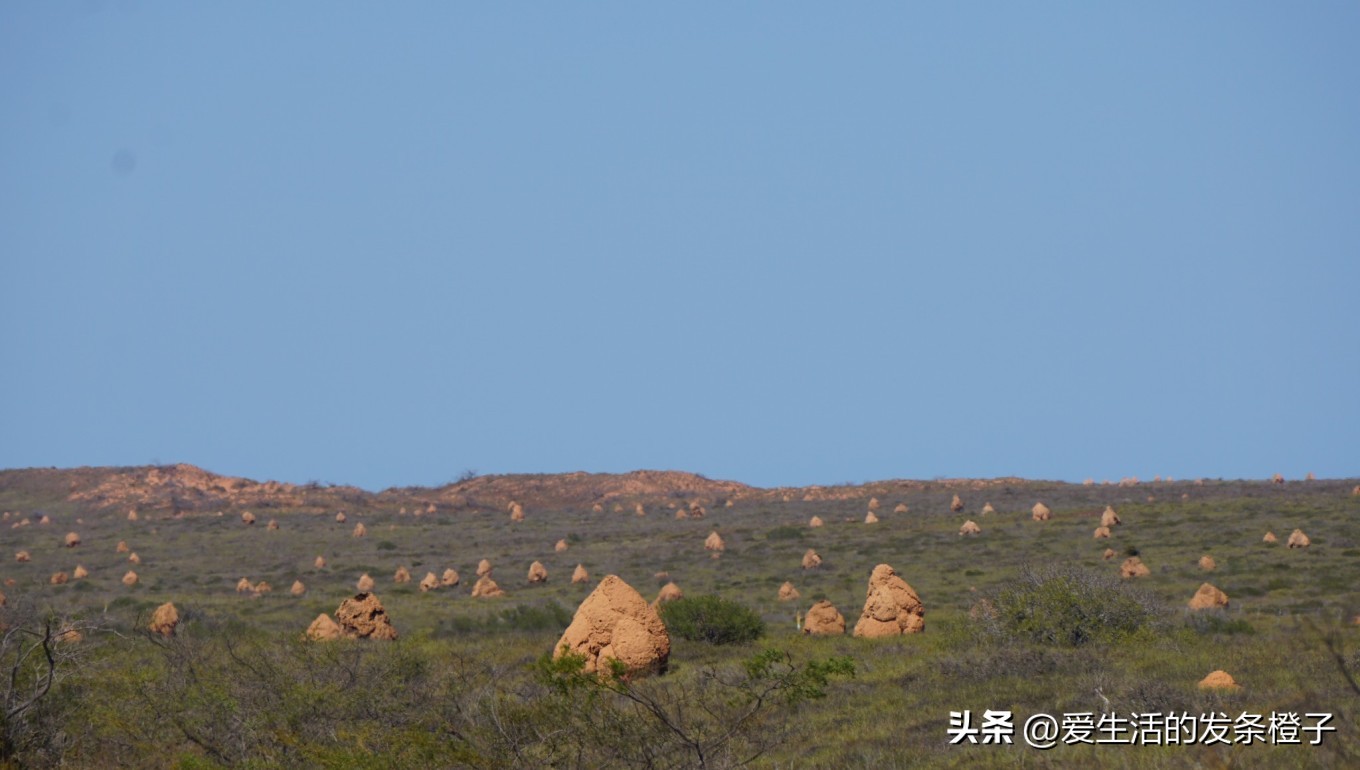 一路向北全程1980公里,西澳自驾游最佳路线图
