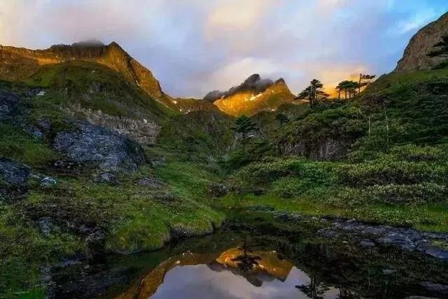 云南普洱茶各山历史,记录云南各大山头普洱茶
