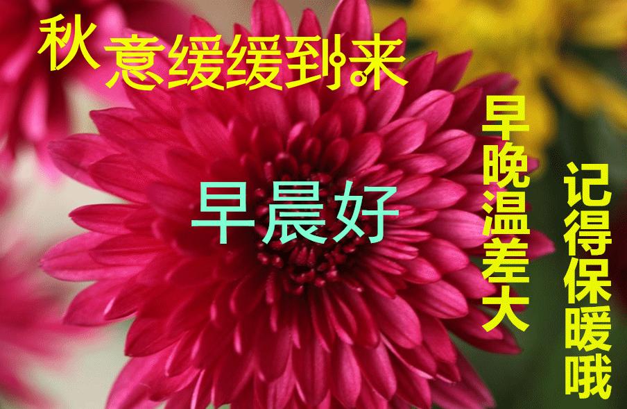 10月3日祝福周一愉快图片动态表情包祝福语，问候大家周一愉快