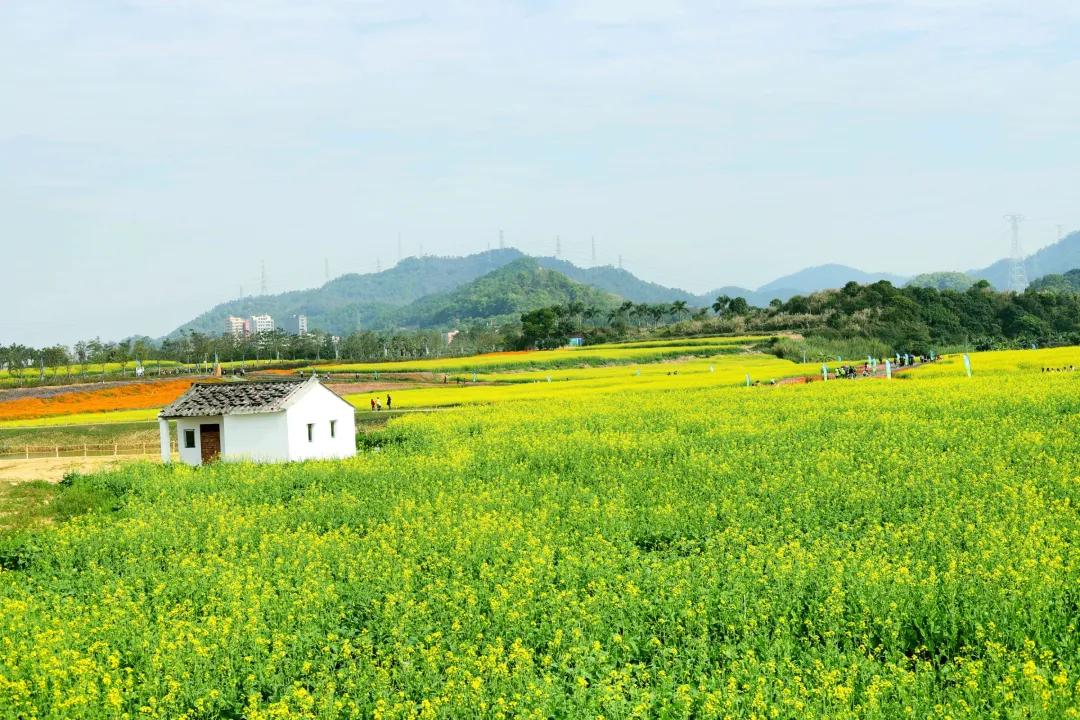 深圳甘坑客家小镇旅行,深圳甘坑古镇附近一日游攻略