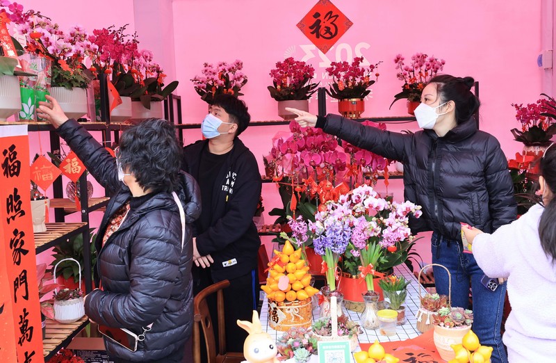 灯笼“修”成雪容融！年花年货别乱扔，手巧就能变出“宝”