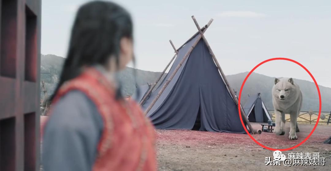 救命啊，这是在*辱侮**谁的智商？