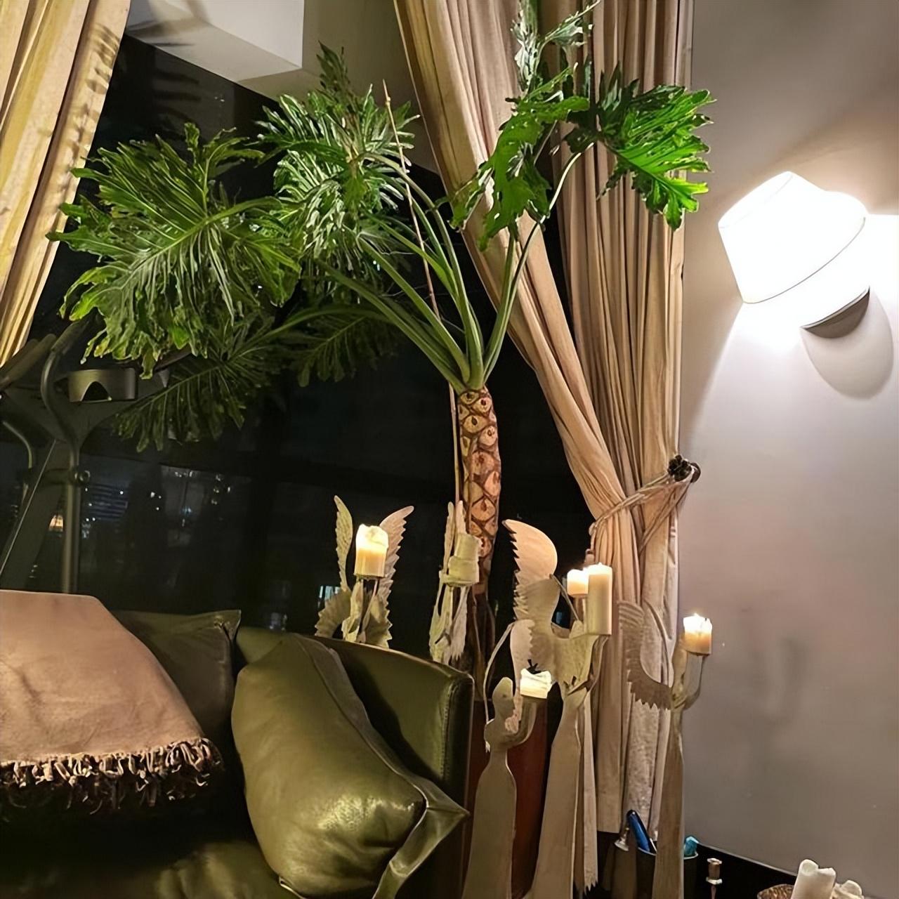 蔡依林戴奢侈品珠宝,蔡依林戴珠宝