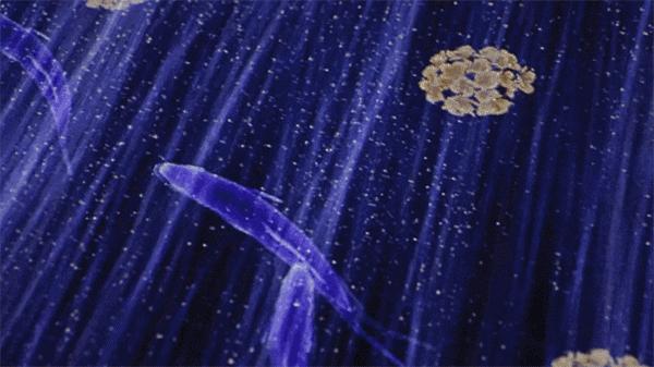 teamlab上海晚宴,上海teamlab无界美术馆晚宴