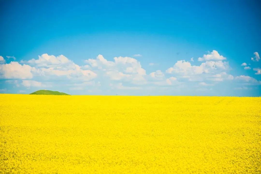 青海：美成了最不像地球的地方