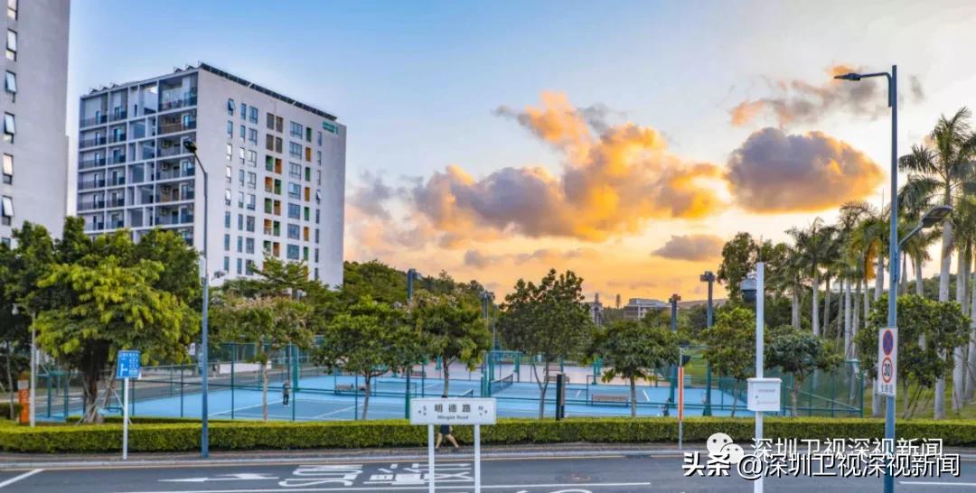 薛其坤5年内把南科大办成双一流,南科大与深圳大学谁先进入双一流