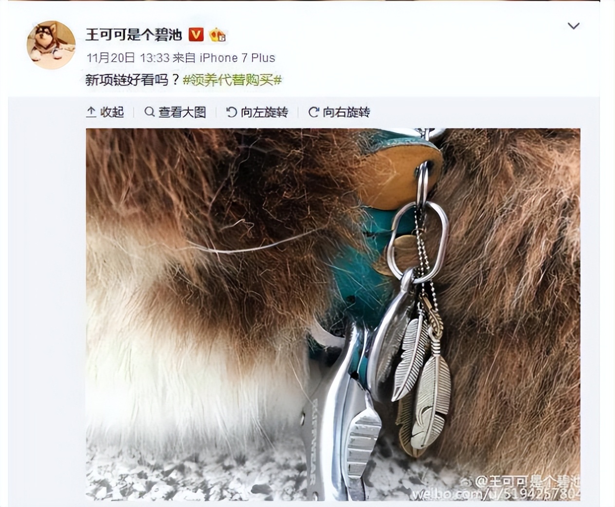 娱乐圈纪检委王思聪,娱乐圈王思聪新梗